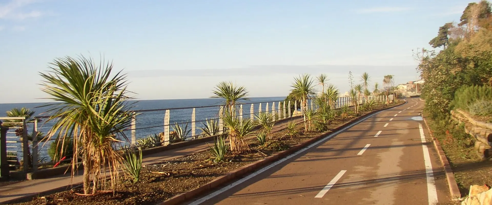 Pista ciclabile lungo la costa, separata dalla strada, con le palme e il mare