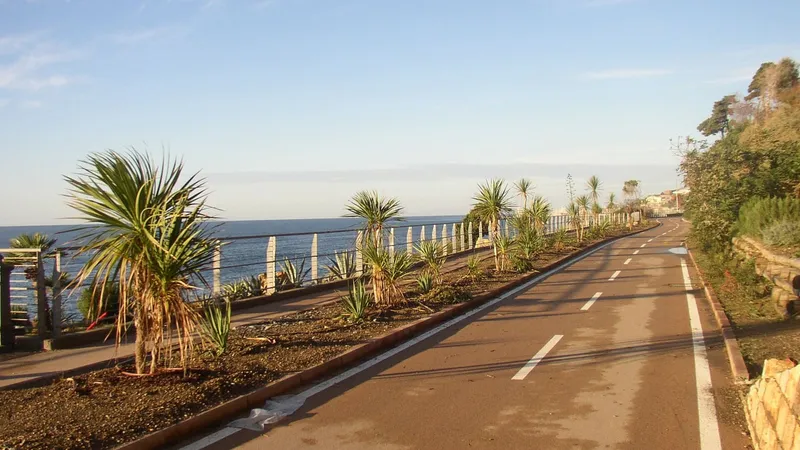 Pista ciclabile lungo la costa, separata dalla strada, con le palme e il mare