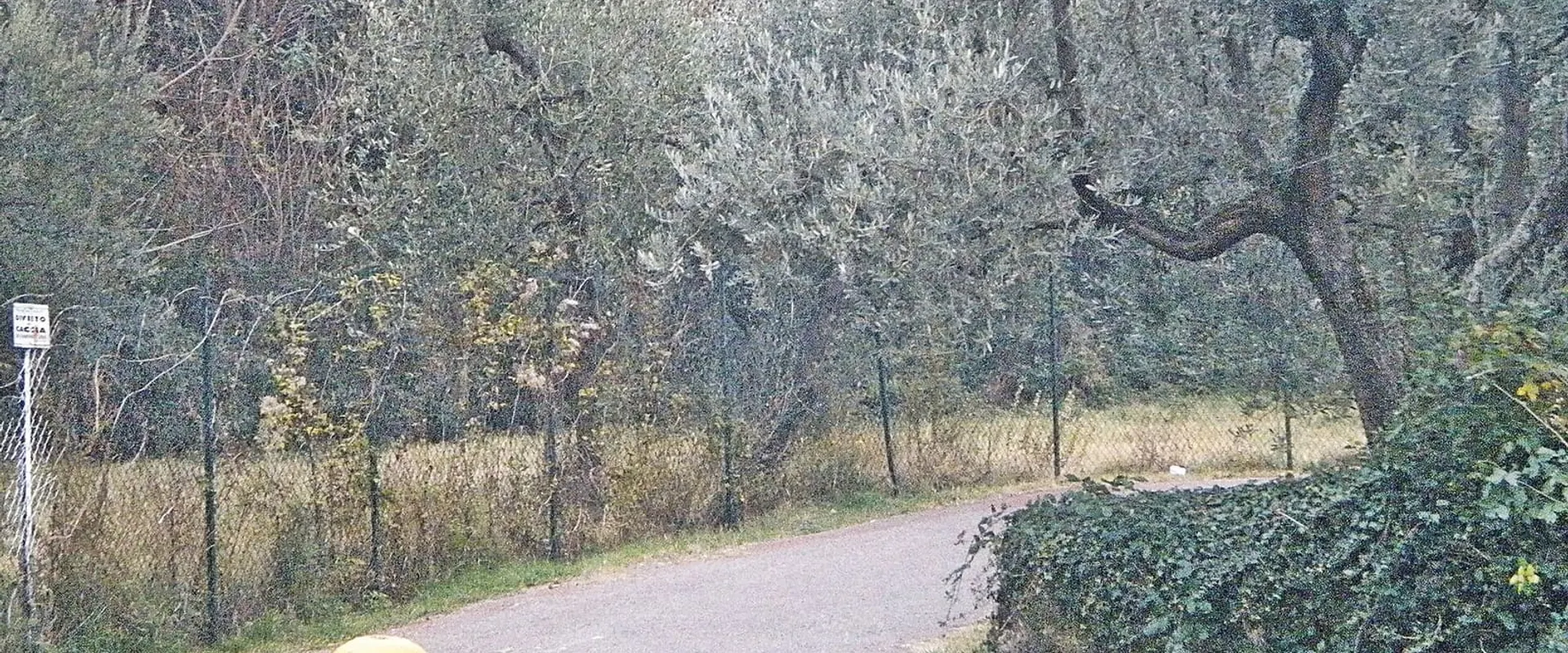 Percorso pedonale e ciclabile tra gli ulivi