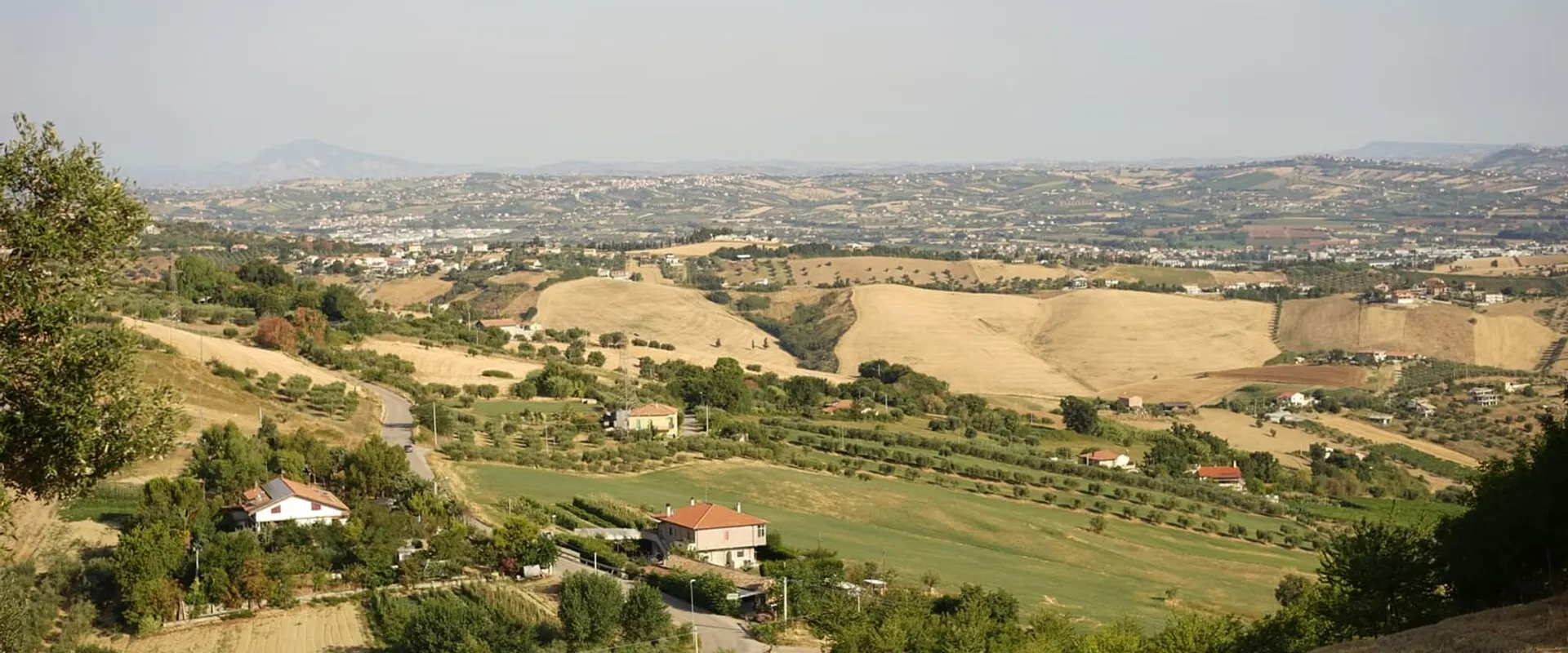 Colline coltivate a ulivi e grano, con case sparse e il mare all’orizzonte