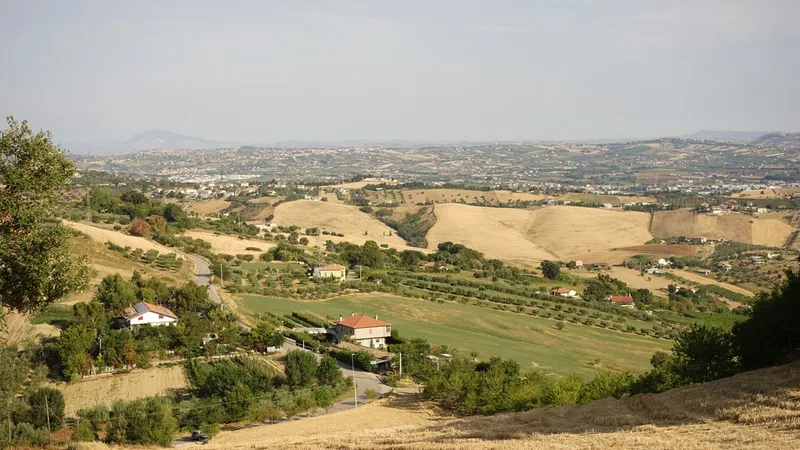 Colline coltivate a ulivi e grano, con case sparse e il mare all’orizzonte