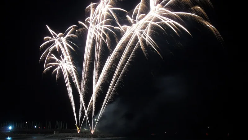 Fuochi d’artificio bianchi nel cielo notturno