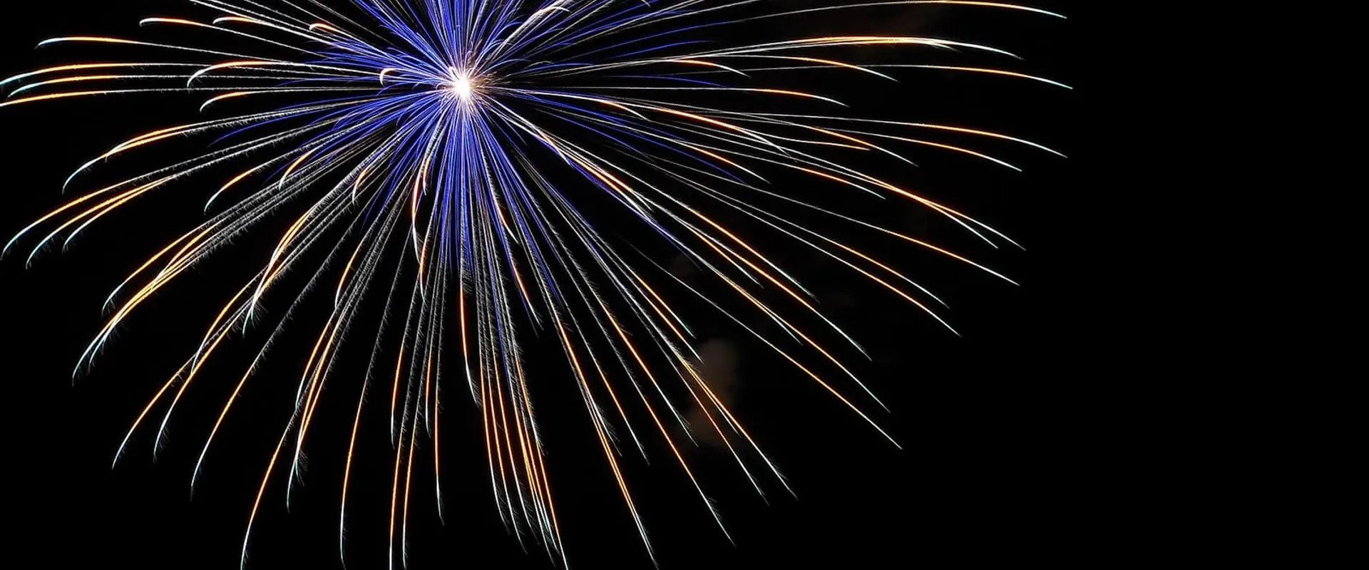 Fuochi d’artificio colorati che si aprono nel cielo notturno