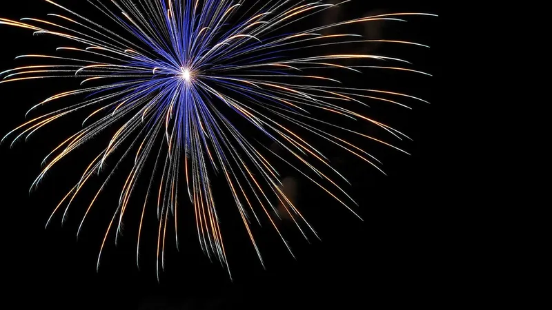 Fuochi d’artificio colorati che si aprono nel cielo notturno