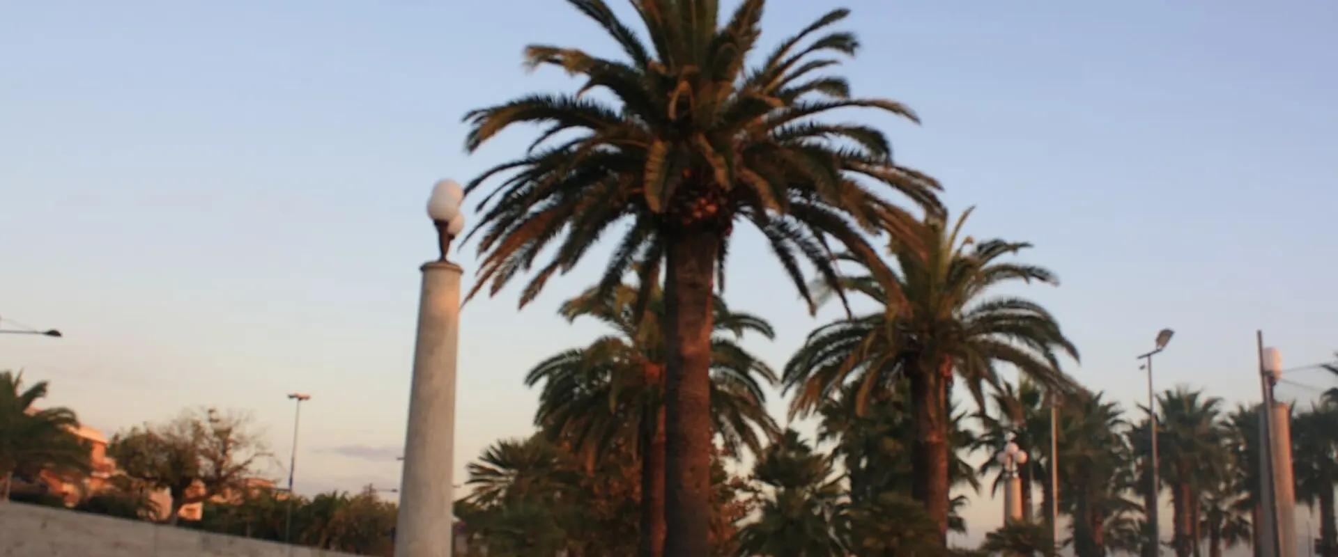 Passeggiata del lungomare con le palme e un lampione, al tramonto