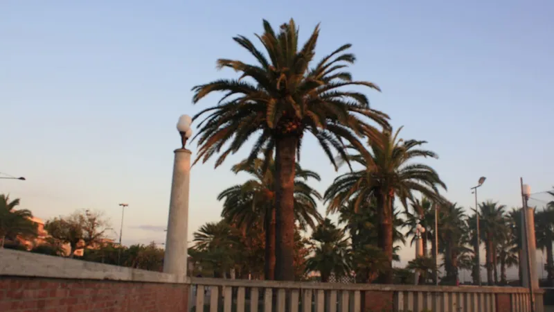 Passeggiata del lungomare con le palme e un lampione, al tramonto