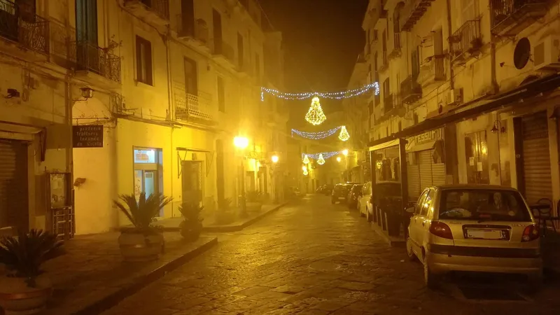 Strada del centro illuminata dalle luminarie di Natale, di sera