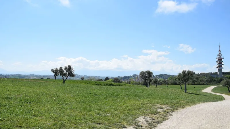 Prato del parco attraversato da un vialetto in terra battuta
